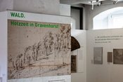 Zwischen Geschichte und Natur. Der Wald rund ums Kloster Gravenhorst