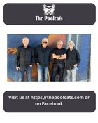 The Poolcats