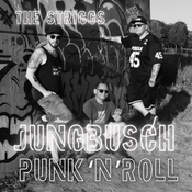 THE STRIGGS (DE) + Vaultaire (DE) - Punk'n'Roll