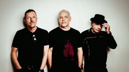 Any Miracle | Ponyhof Club Frankfurt