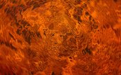 Exhibition opening: “Feuergeist” by Denis Oding