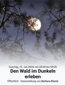 Den Wald um Dunkeln erleben