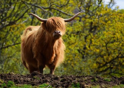Fotoreportage - Sabine Geiger: Schottland – Mitten in den Highlands