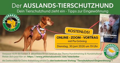 Dein Tierschutzhund zieht ein - Tipps zur Eingewöhnung: kostenloses Zoom mit Pia Groening