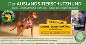 Dein Tierschutzhund zieht ein - Tipps zur Eingewöhnung: kostenloses Zoom mit Pia Groening