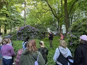 KNOW YOUR KRAUT — Wilde Stadtkräuter mit Waldgang