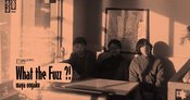 What the Fuzz ?! maya ongaku