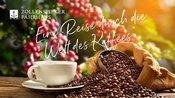 „Eine Reise durch die Welt des Kaffees“