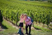 Alsheimer Weinwandern 2026