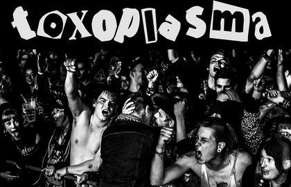live: TOXOPLASMA - Die wichtigste Punkband der 80er live in Halle!