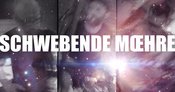 Konzert Die schwebende Möhre