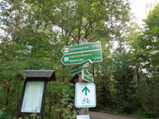 Geführte Wanderung entlang des Sagenweges im Wald der Massenei.