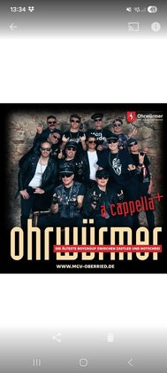 Die Ohrwürmer