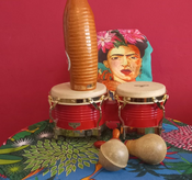 Sommerspezial: PISCO SOUR – Latino Caribe Party am ALTER