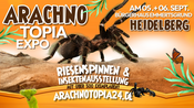 Riesenspinnen & Insektenausstellung - Heidelberg Bürgerhaus