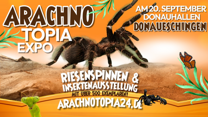 Riesenspinnen & Insektenausstellung - Donaueschingen Donauhallen
