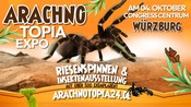 Riesenspinnen & Insektenausstellung - Würzburg Congress Centrum