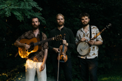 NEW VALLEY STRING BAND (SWE) - Americana Bluegrass old time music