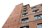 100 Jahre Mousonturm – Straßenfest