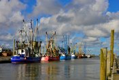 Floh- und Trödelmarkt am Dorumer Kutterhafen