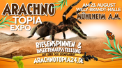 Riesenspinnen & Insektenausstellung - Mühlheim am Main