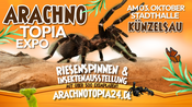 Riesenspinnen & Insektenausstellung - Künzelsau Stadthalle