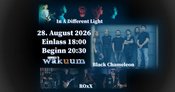 In A Different Light - Black Chameleon - ROxX