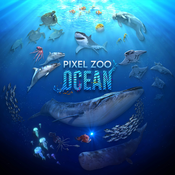Pixel Zoo Ocean - eine immersive Reise durch den Ozean