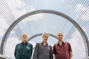 Foggy Notion: The Necks