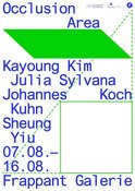 OCCLUSION AREA // Kayoung Kim | Julia Sylvana Koch | Johannes Kuhn | Sheung Yiu