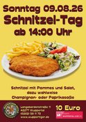 Schnitzel mit Pommes und Salat, dazu wahlweise Champignon- oder Paprikasoße