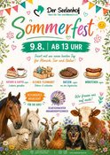 Sommerfest auf dem Seelenhof