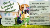 Sommerfest