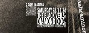 aaltraminor Tag 2 mit The Black Veils (I) und Diamond Dog (F)