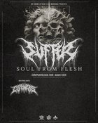 Suffer(UK), Coroners(BE) & one more