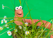 Figurentheater Dornerei: Superwurm