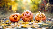 Halloween-Party für die ganze Familie