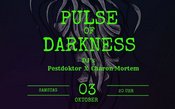 Pulse of Darkness