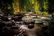 Kinderkurs: Quelle und Bach