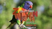 ZWITSCHERN Open-Air (Eintritt frei)