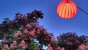 NEUER DEUTSCHER HEIMATFILM• Erlangen • E-Werk Garten