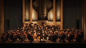 Stamitz-Orchester