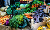 Aktionstage zu fairer und nachhaltiger Ernährung in den städtischen Kantinen