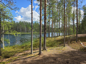 Glücksland Finnland - Was wir von den Finnen lernen können
