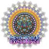 Psychedelic Experience Festival