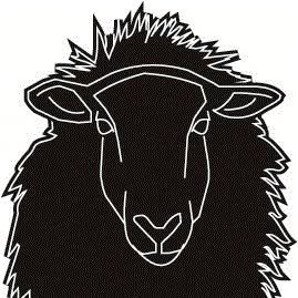 Schwarzes Schaf