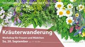 Kräuterwanderung – Heimische Heilpflanzen entdecken für Mädchen und Frauen