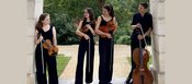 Triton Quartett – MUK.NEUE.HORIZONTE