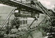 Der Fall des Elefanten - Die rätselhafte Geschichte des Elefanten Tuffi. Ein Film von Volker Anding