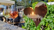 Weinfest an der Pelzmühle